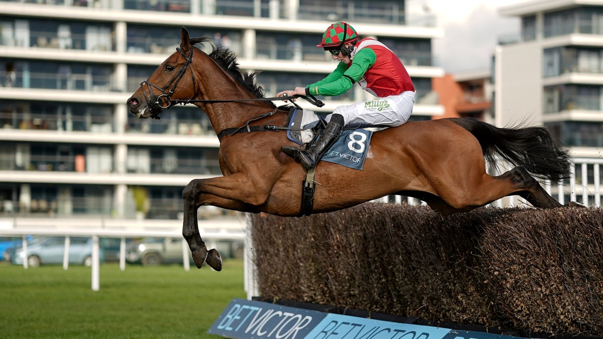 ITV Racing Tips on November 28th | Friday's selections at Newbury