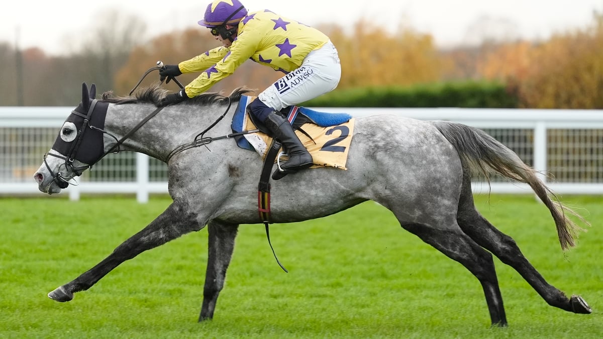 Eye On Cheltenham 25/26 Week 4 | Il Etait Temps tops Champion Chase ...