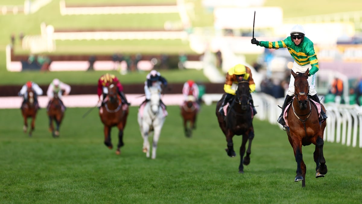 2026 Gold Cup News | 33 entered in Cheltenham Festival feature