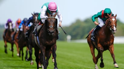 Kalpana Prix de l'Arc de Triomphe 2026 Odds