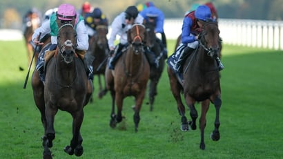 Bet365 Super Boost Kalpana Champions Day