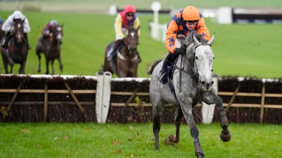 20 horses to follow 26 27 part 1