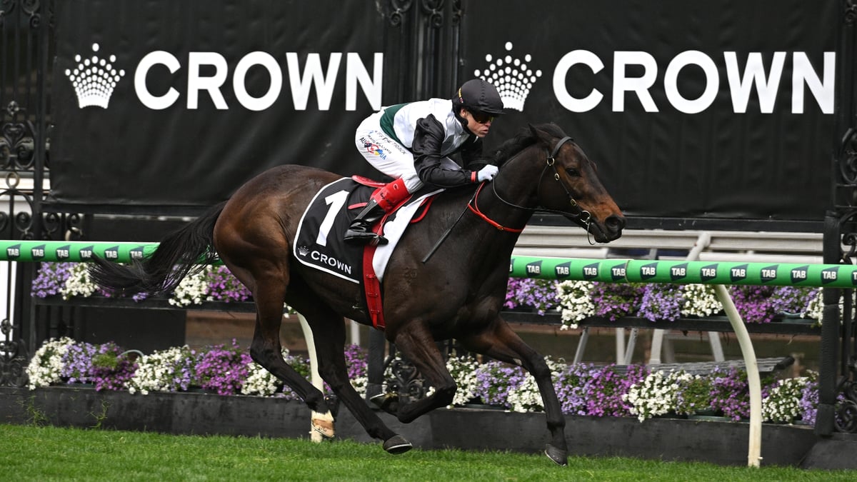 Makybe Diva Stakes Winners - Looking Back At The Last Five Editions