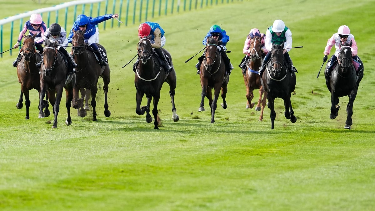 2026 Fillies' Mile Tips: Will Muscial Times remain unbeaten at Newmarket?