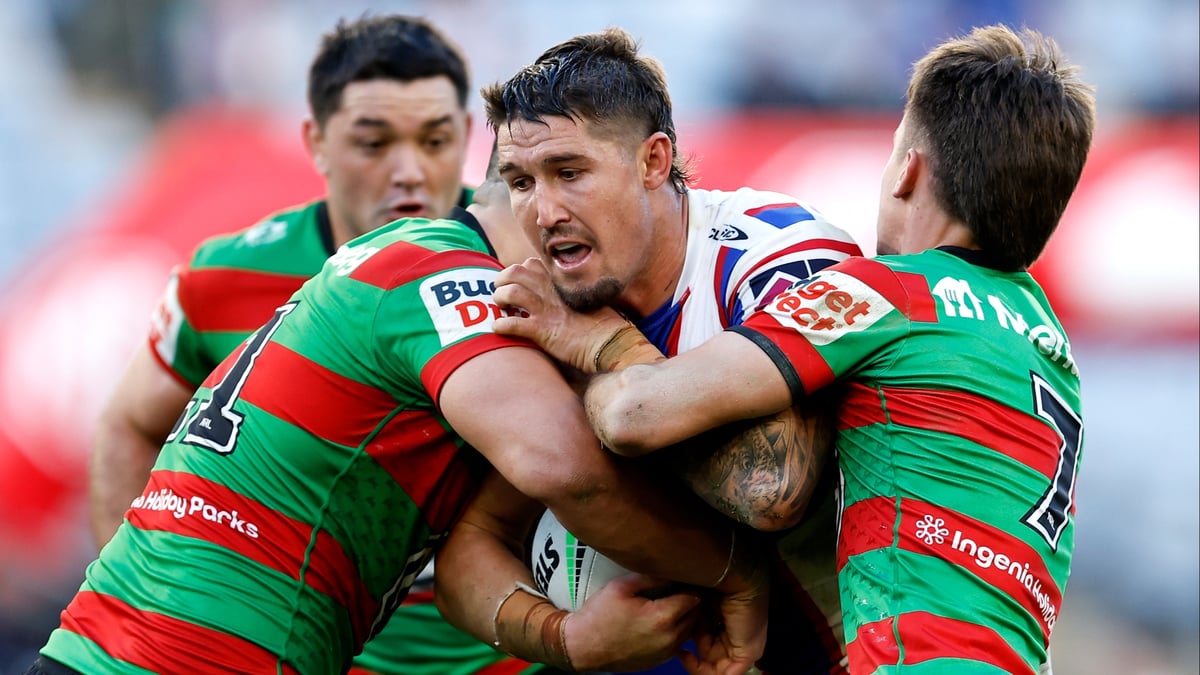 Rebbitohs South Sydney Rabbitohs vs Newcastle Knights NRL Elimination Final Tips
