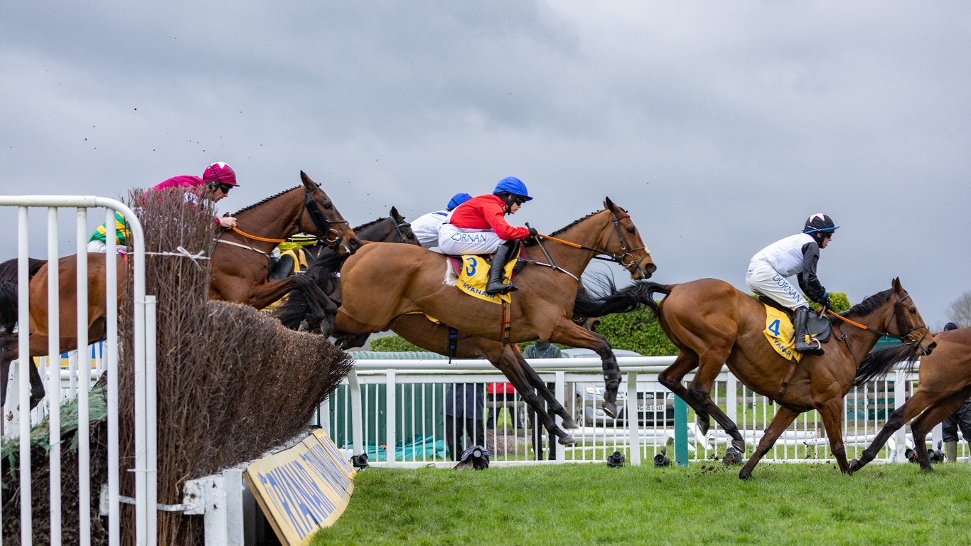 cheltenham st pattys day race card