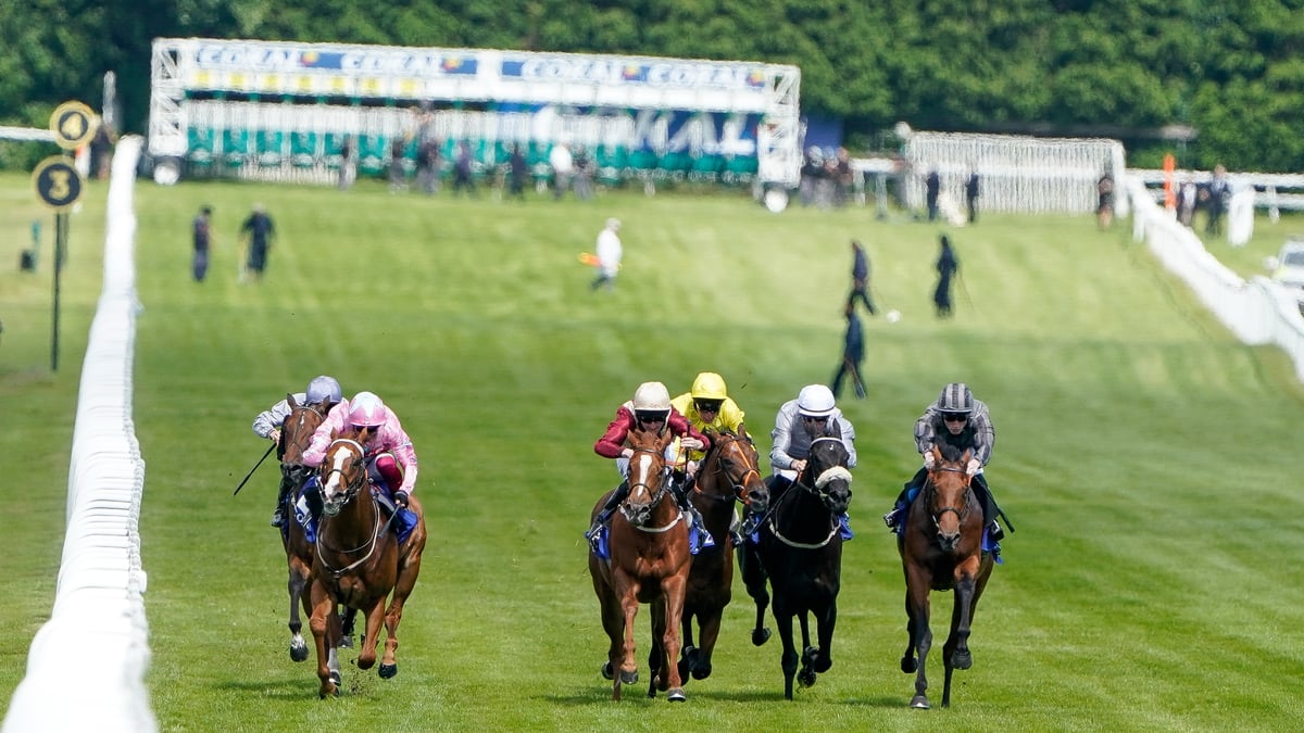 Newspaper Racing Tips on June 13th | Lady Youmzain and Raammee a ...