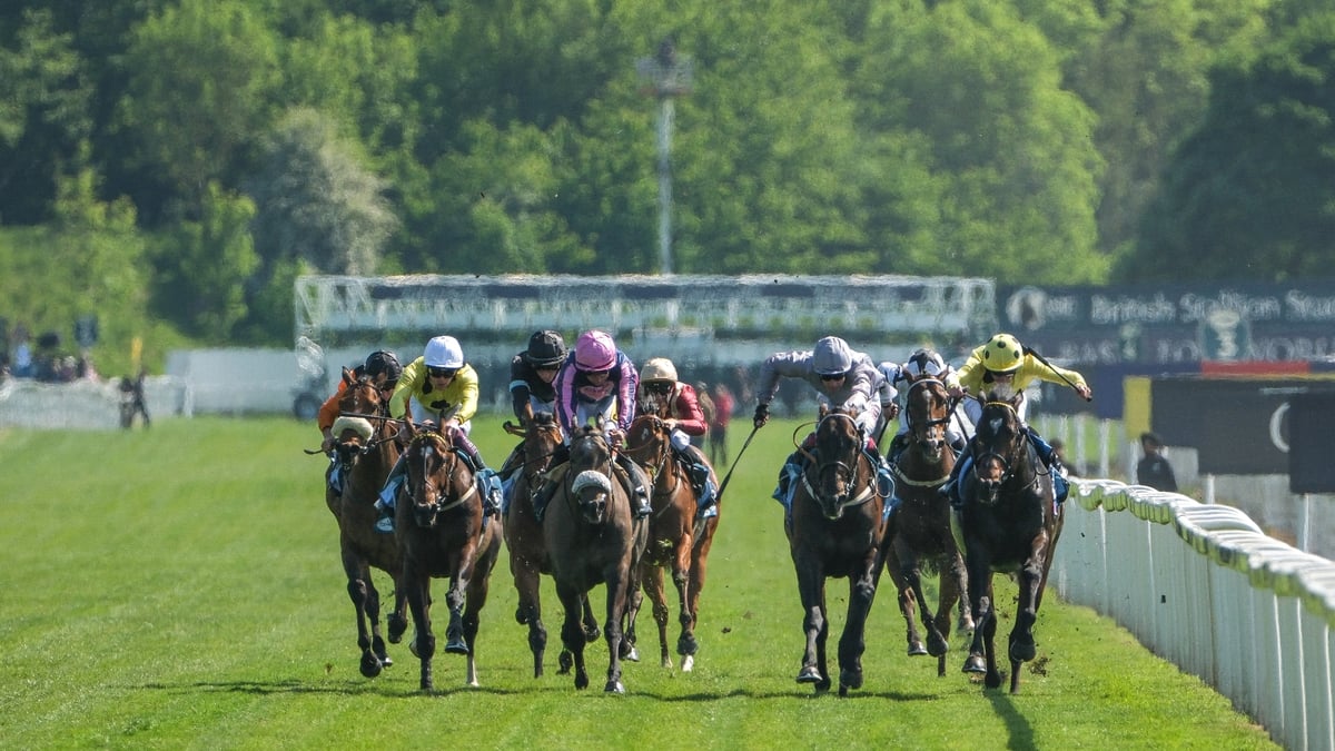 ITV Racing Tips on June 14th | Saturday's selections at York, Sandown ...