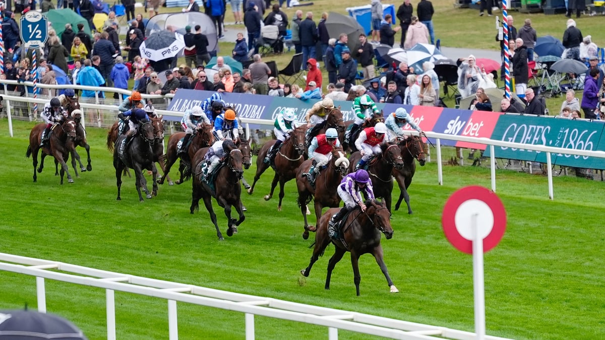 Ebor Festival Day 4 Tips | York Saturday Best Bets & Predictions