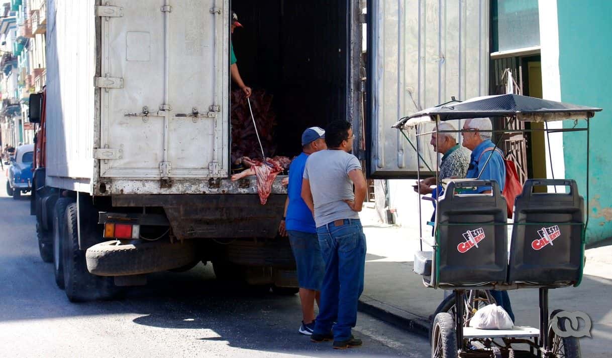 ¿Cuánto vale el cerdo en Cuba en vísperas de Año Nuevo? Precios en nueve provincias y 250 comercios
