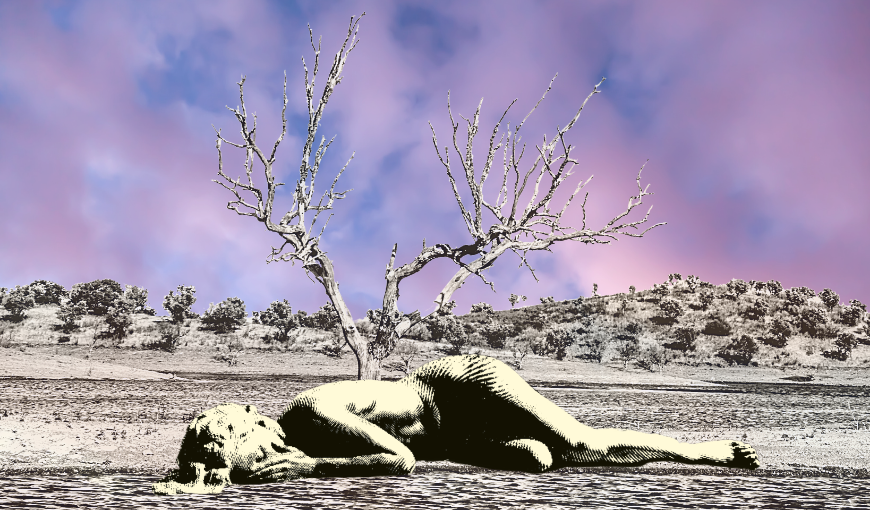 Aprender sobre la muerte, educar para la vida elTOQUE