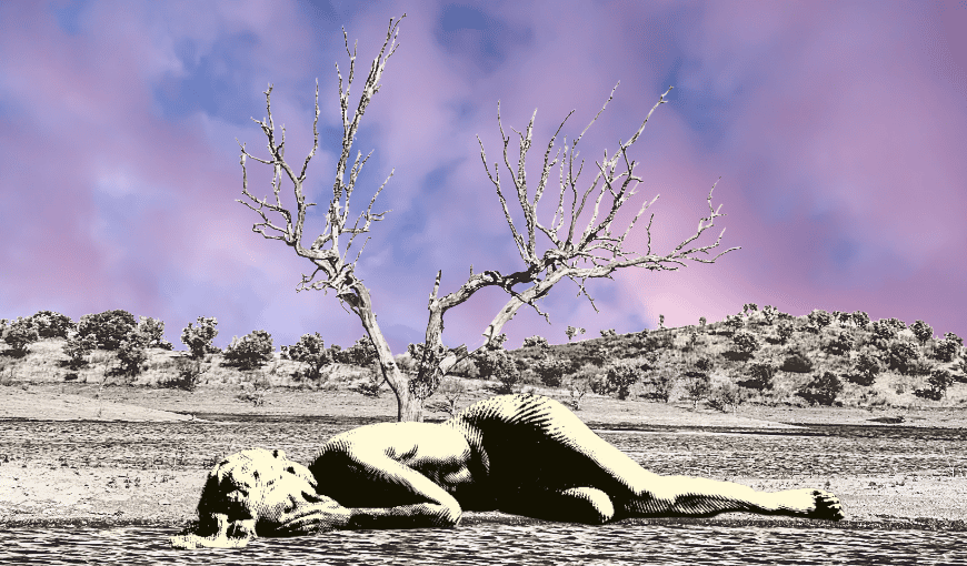 Aprender sobre la muerte, educar para la vida