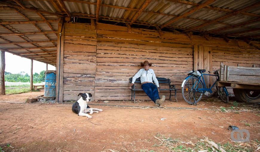 Cuba’s Food Production: Are the Remedies Working?