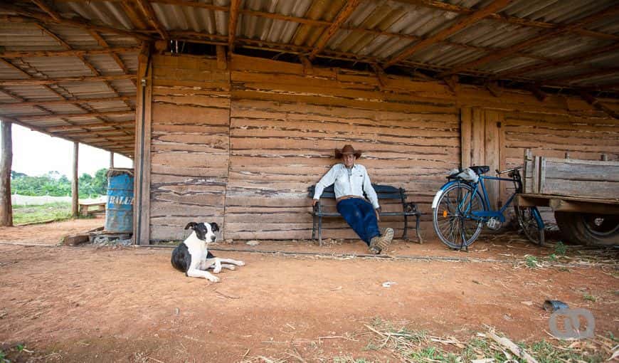 Cuba’s Food Production: Are the Remedies Working?