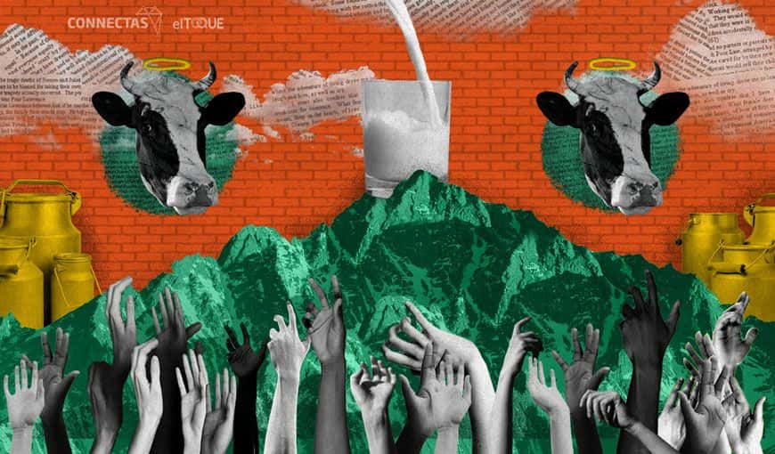 Cuba’s Endless Struggle for a Glass of Milk