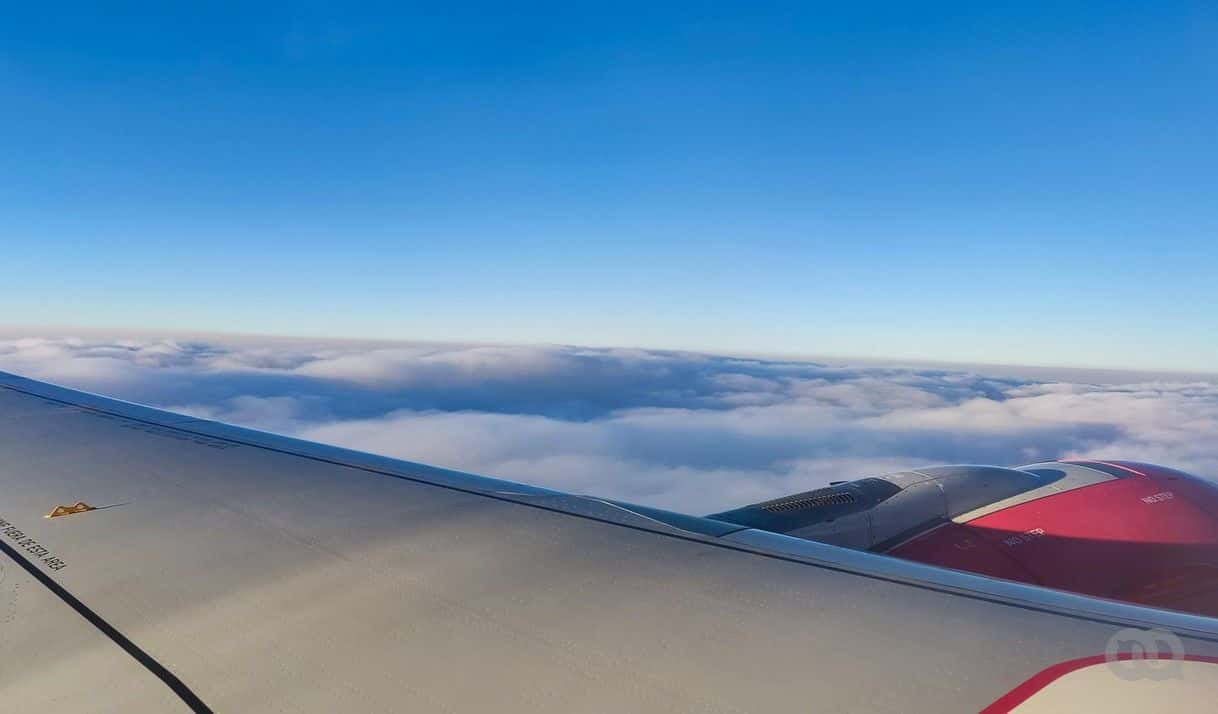 Lo que necesitas saber de Inmigreat, el proyecto que informa sobre el <i>parole
</i>