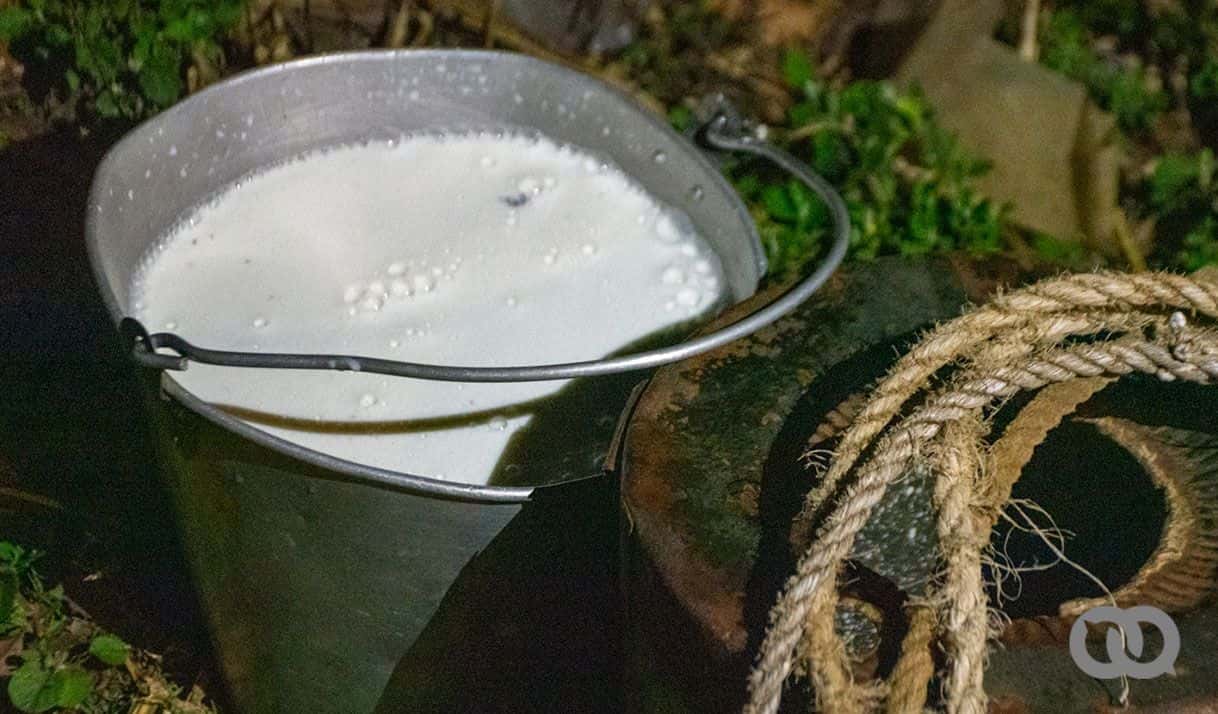 leche fresca 