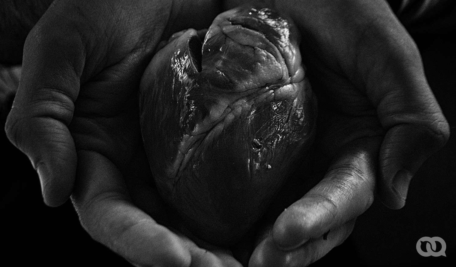 Foto: Sadiel Mederos.