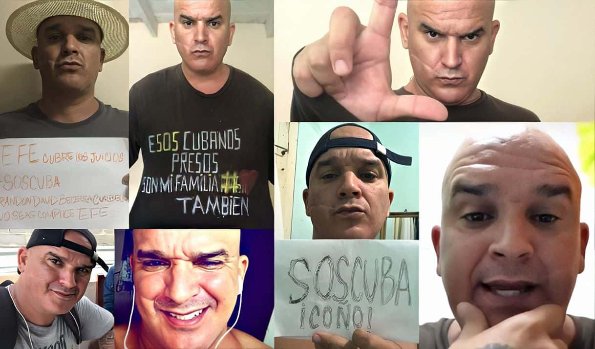 ktivo disidente