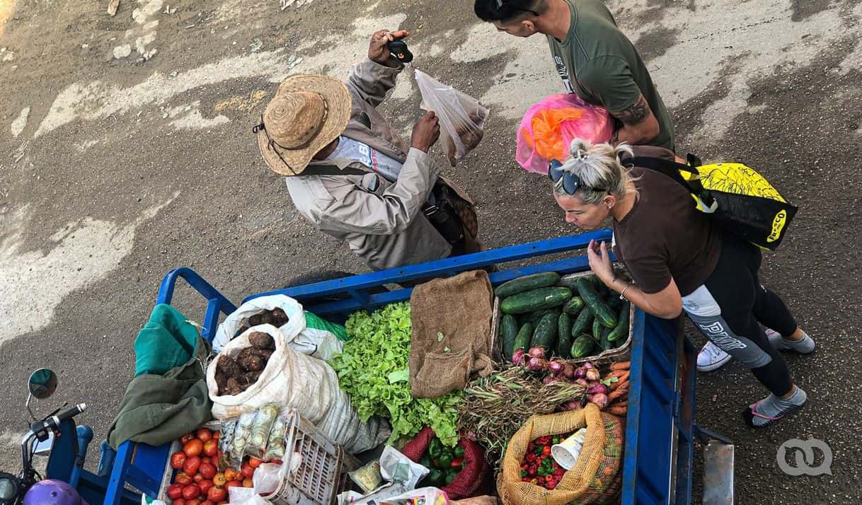 ¿Soberanía o asistencia alimentaria? El costo de la cooperación internacional en Cuba