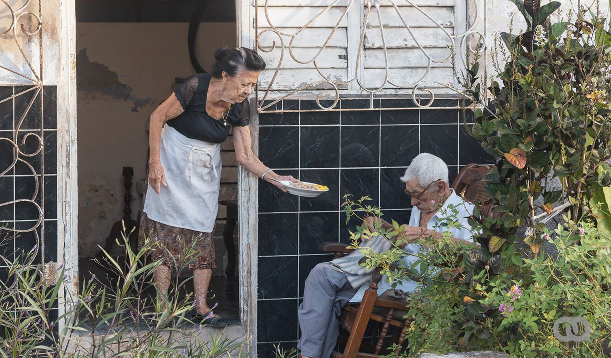 ancianos, mujer, hombre, casa, matas, comida