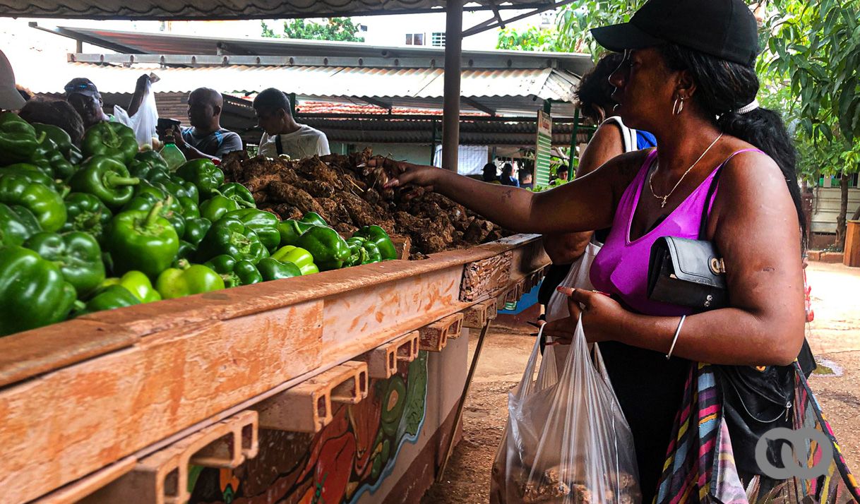 mujer mercado alimentos