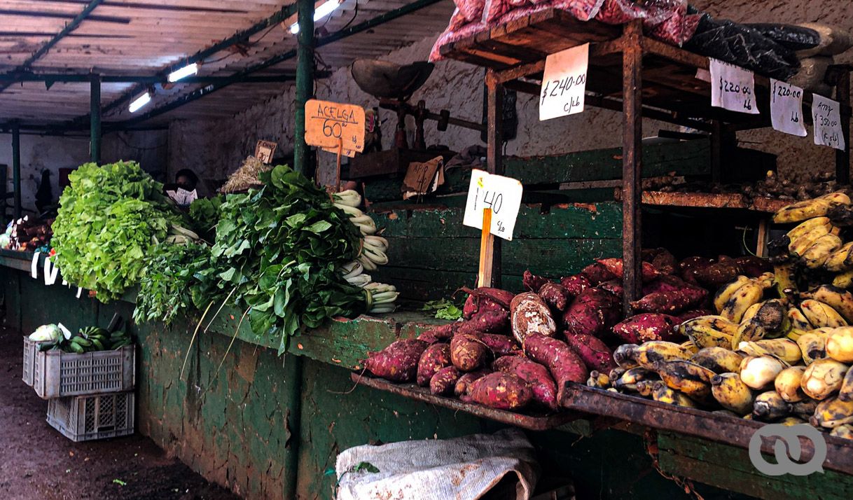 alimentos precios viandas tarina