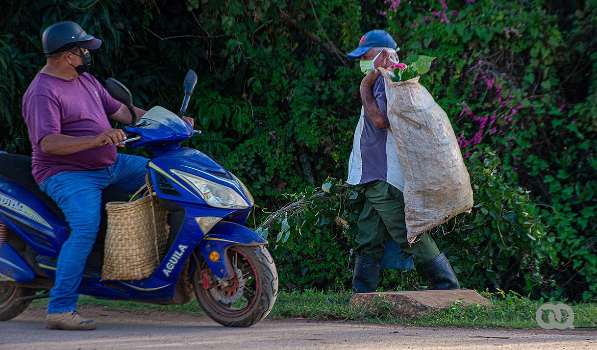 hombres, moto eléctrica, hierbas, carretera