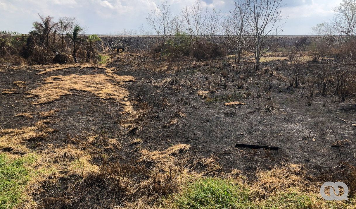 Incendios forestales en Cuba: cifras récord y efectos medioambientales