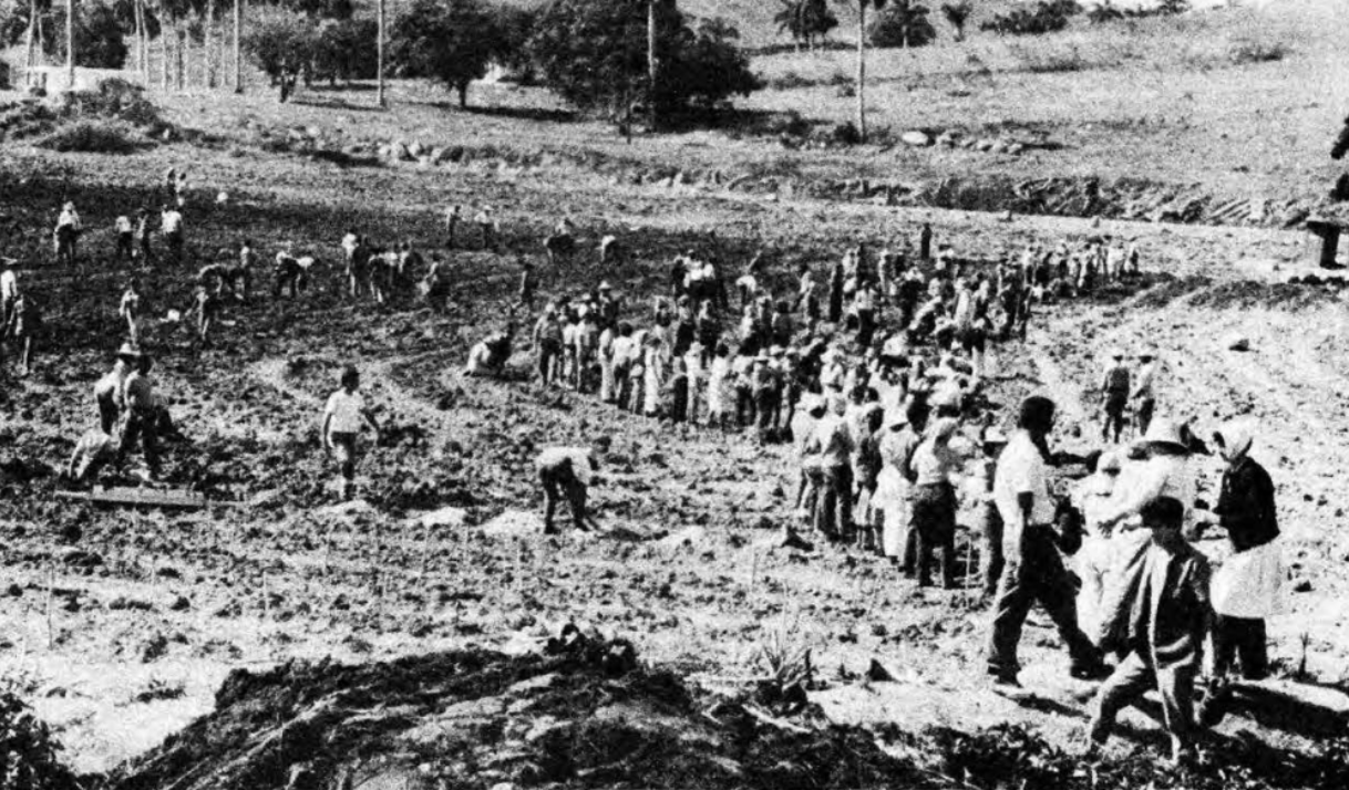 Los planes bizarros de la política alimentaria en Cuba