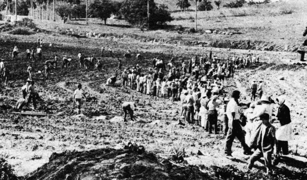 Los planes bizarros de la política alimentaria en Cuba

