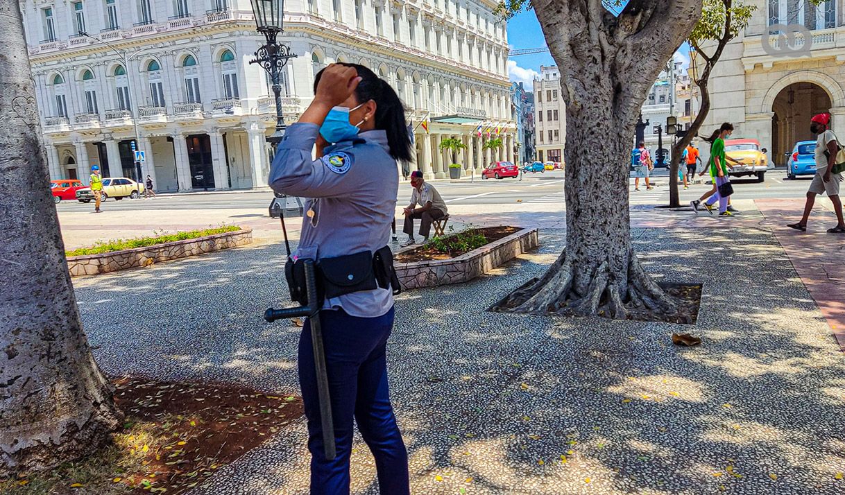 mujer, policía, árbol, edificio, calle