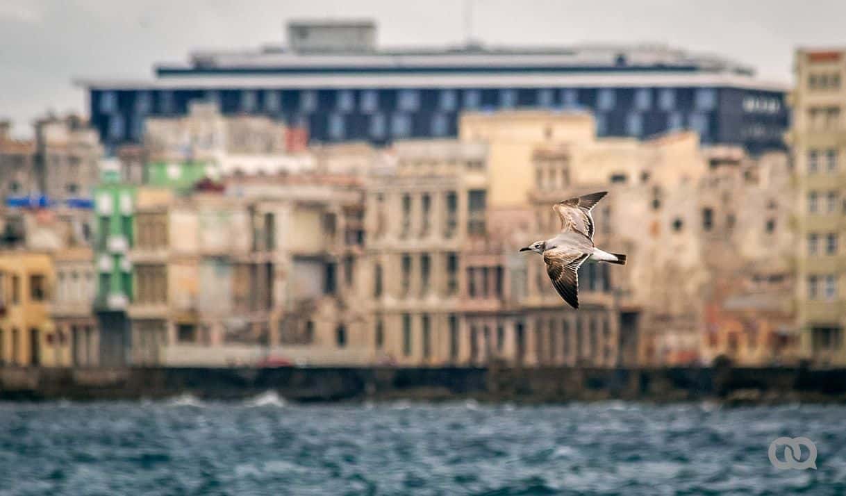 Cuba, ¿dónde estás? (+Narración)