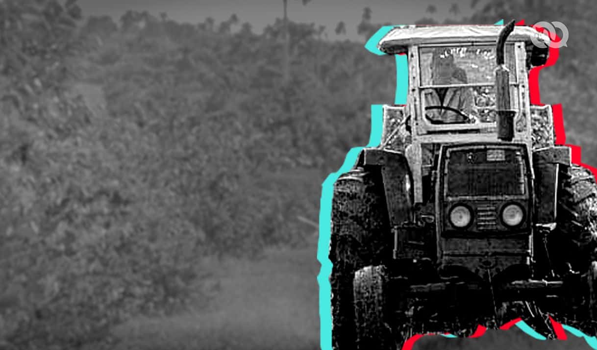 ¿Qué hay de nuevo con la agricultura?