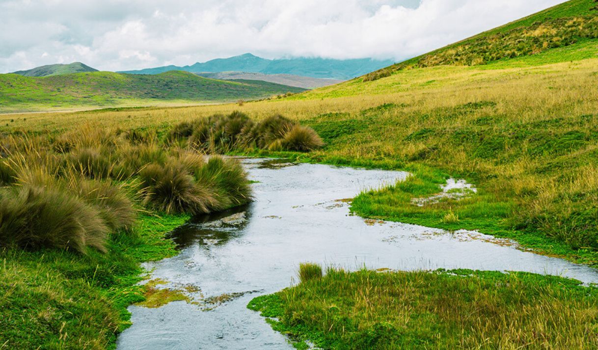 En las áreas naturales protegidas de Ecuador, la única amenaza son las personas