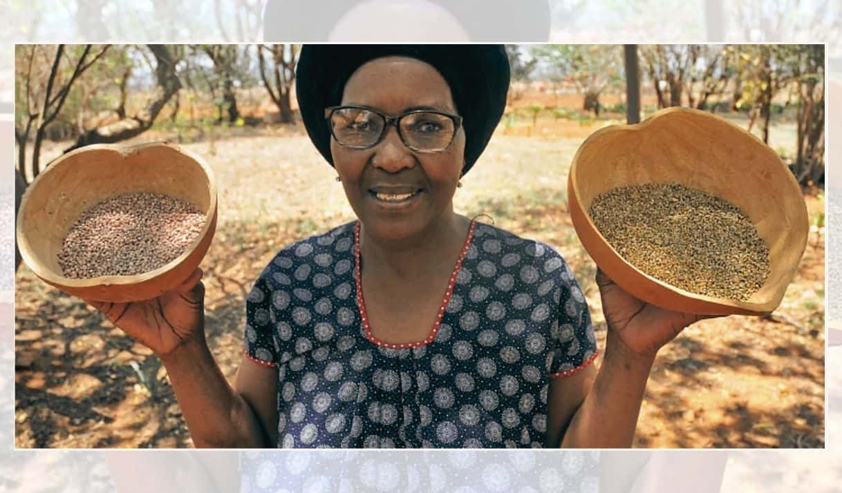 La agricultora orgánica y mentora Rosa Ramaipadi trabaja con una red de agricultores rurales en Limpopo para promover prácticas de agricultura agroecológica. (Foto: Lucas Ledwaba / Mukurukuru Media).