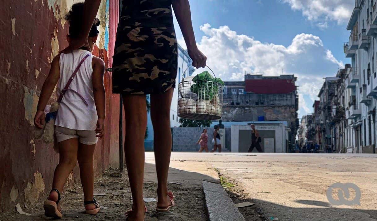 ¿Cuáles son las cifras de feminicidio que reconoció el Gobierno?
