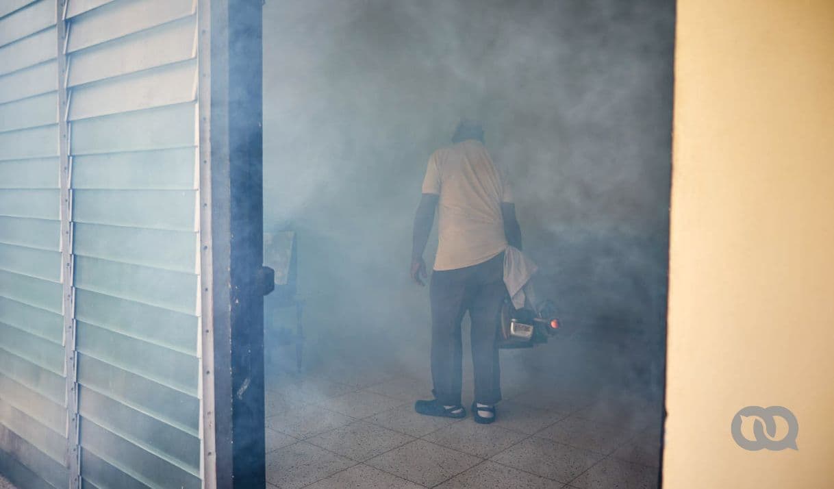 My Days with Oropouche Fever | elTOQUE