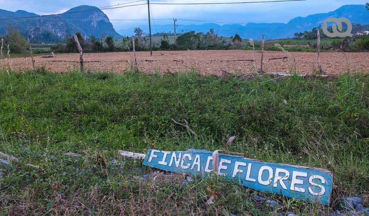 Los privilegios del Minfar y del Minint en la contratación agrícola