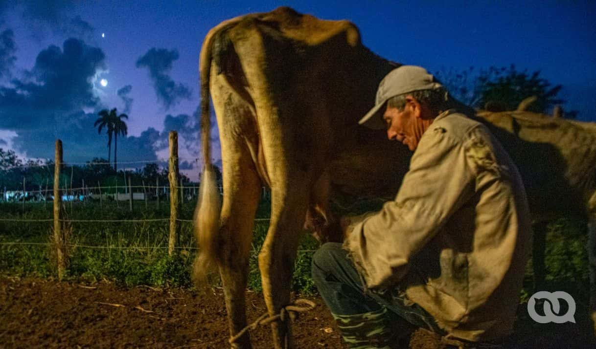 Contratación forzada: solución para la baja inversión agrícola y el mercado disfuncional