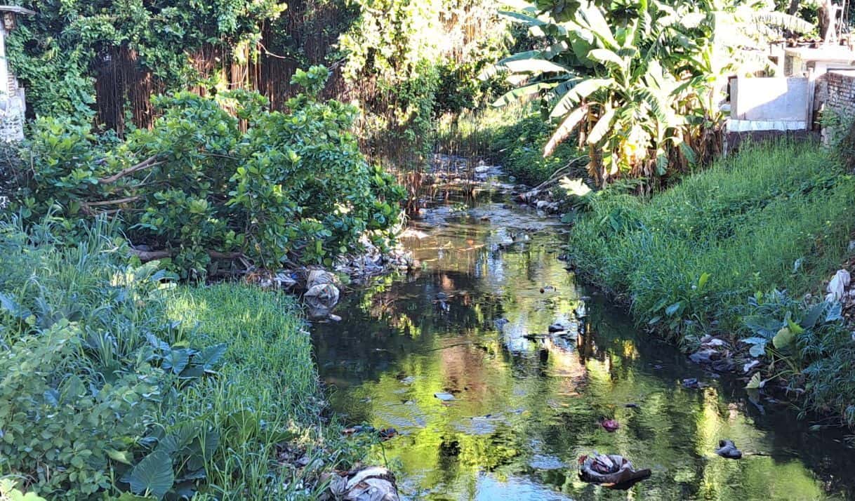 Clarias y verduras contaminadas: el saldo ambiental de los ríos Bélico y Cubanicay