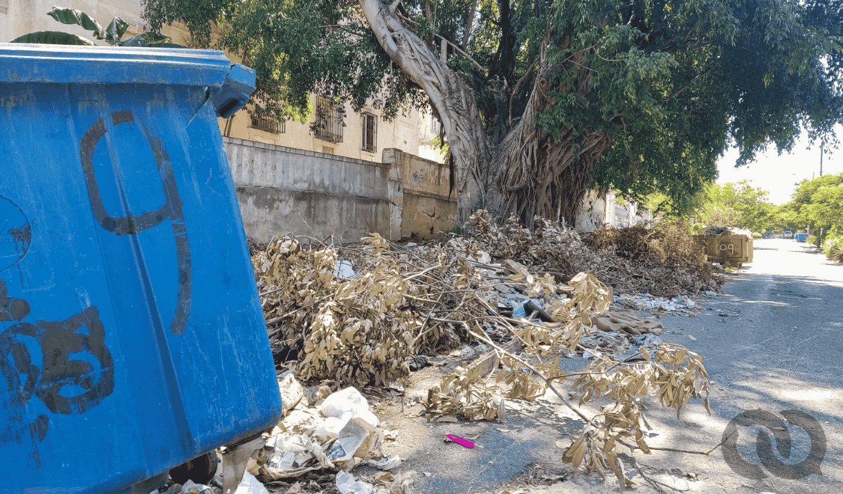 Más de 23 mil personas podrían tener oropouche en Cuba