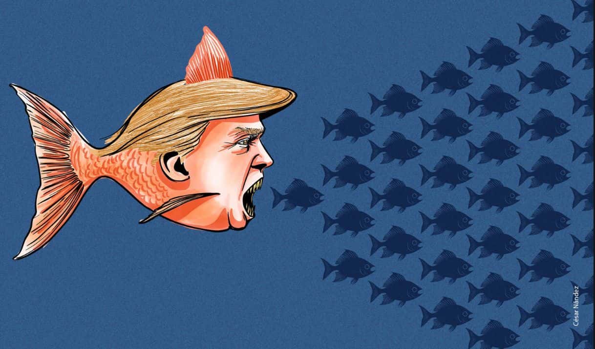 ¿Qué esperar de la Administración Trump en América?