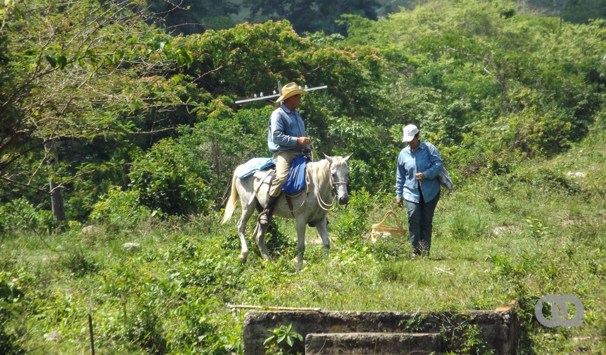 Latifundio estatal y extranjero: nueva realidad de las tierras en Cuba