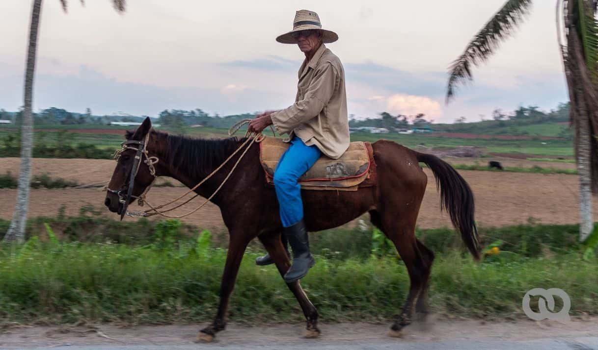 Tierra y emigración: lo que perderán los campesinos que se van