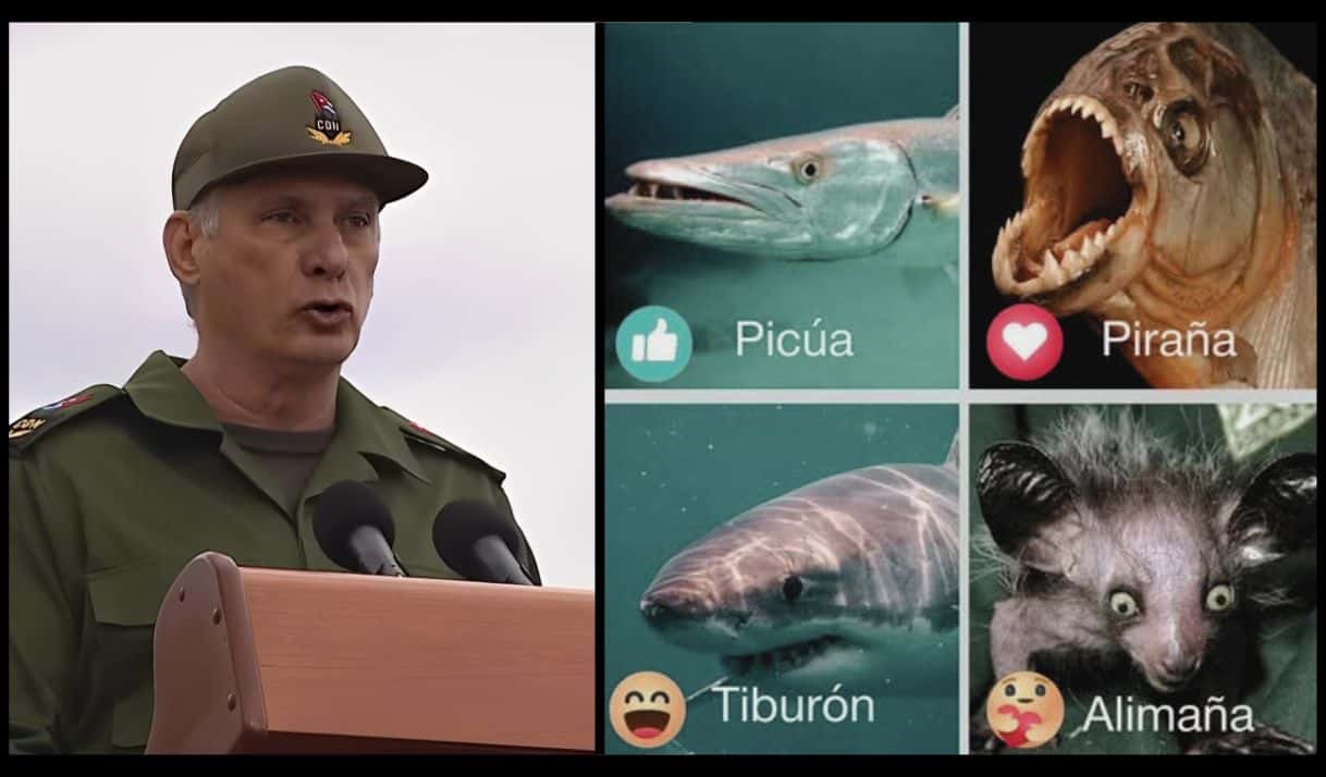 Picúa, piraña, tiburón, alimaña. Los sustantivos del régimen