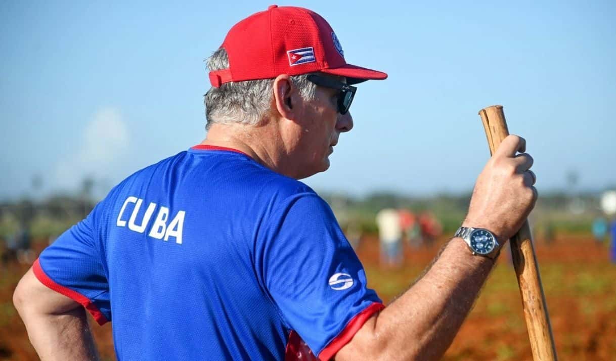 Cuba abre el usufructo de tierras estatales a empresas privadas para producir alimentos