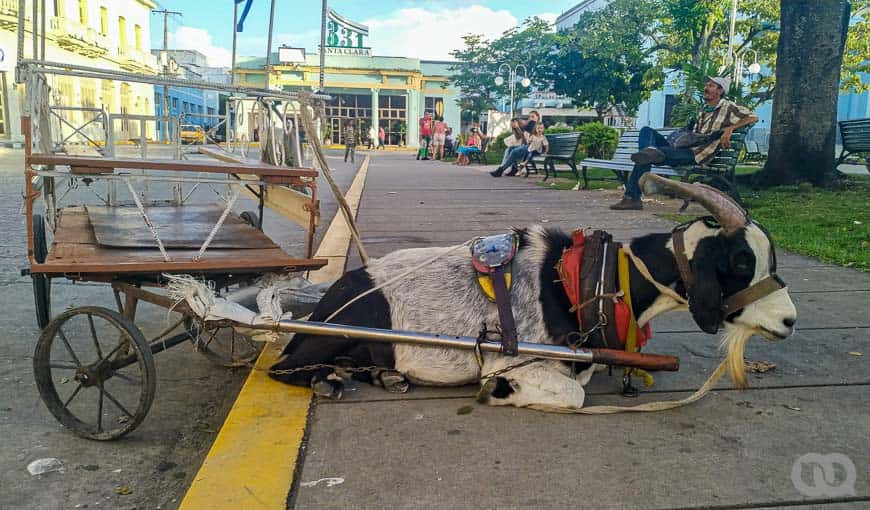 Foto: Sadiel Mederos.