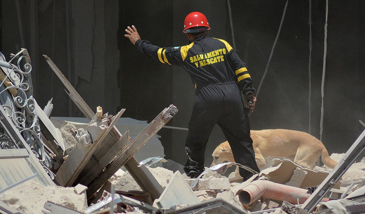 A los pocos minutos de comenzar las labores de búsqueda, rescate y salvamento entre los escombros del Saratoga, los perros rescatistas llegaron al lugar del siniestro.