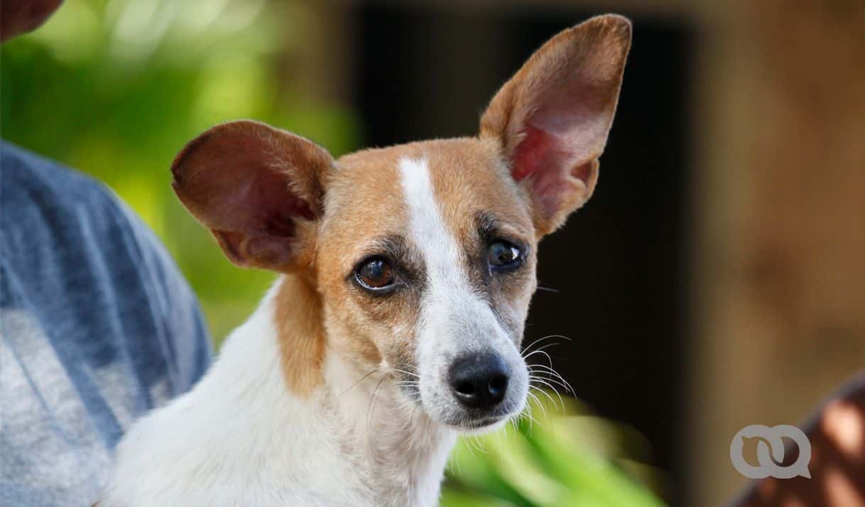 Foto: Yandry Fernández.